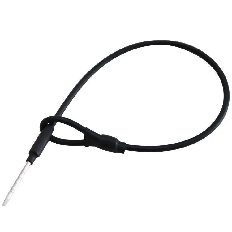 Security PIN / Lanyard